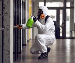 Mold Odor Removal Services in Walbridge, OH